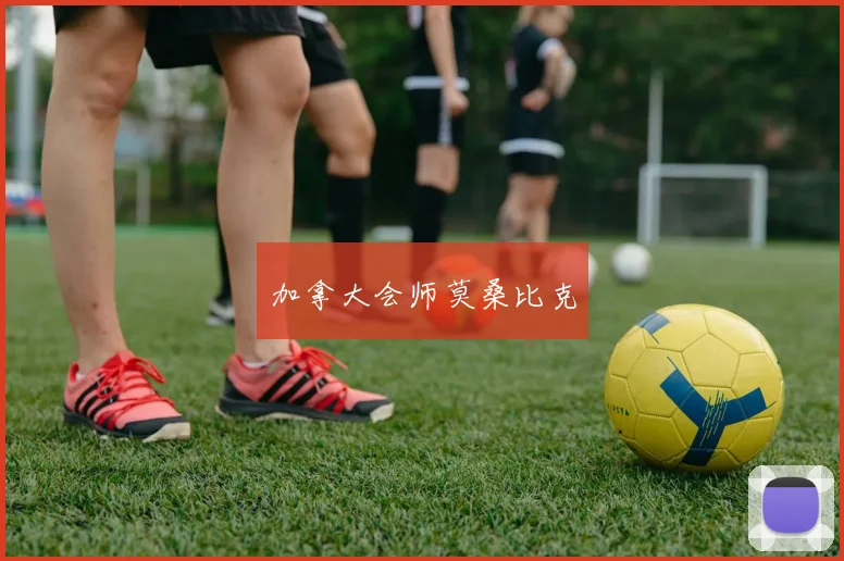 加拿大会师莫桑比克