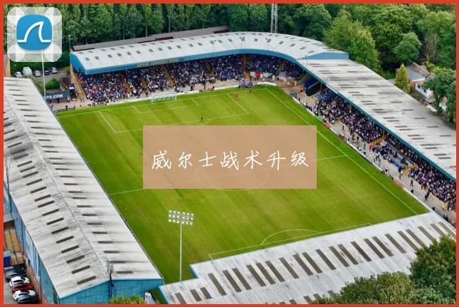 威尔士战术升级