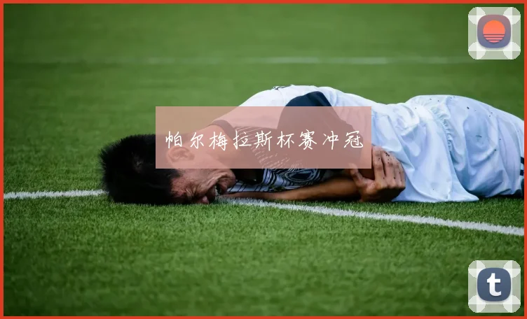 帕尔梅拉斯杯赛冲冠